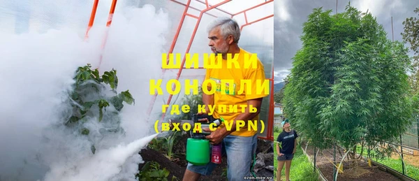 молекула духа Белокуриха