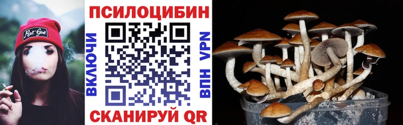 Псилоцибиновые грибы GOLDEN TEACHER  Гаврилов-Ям 